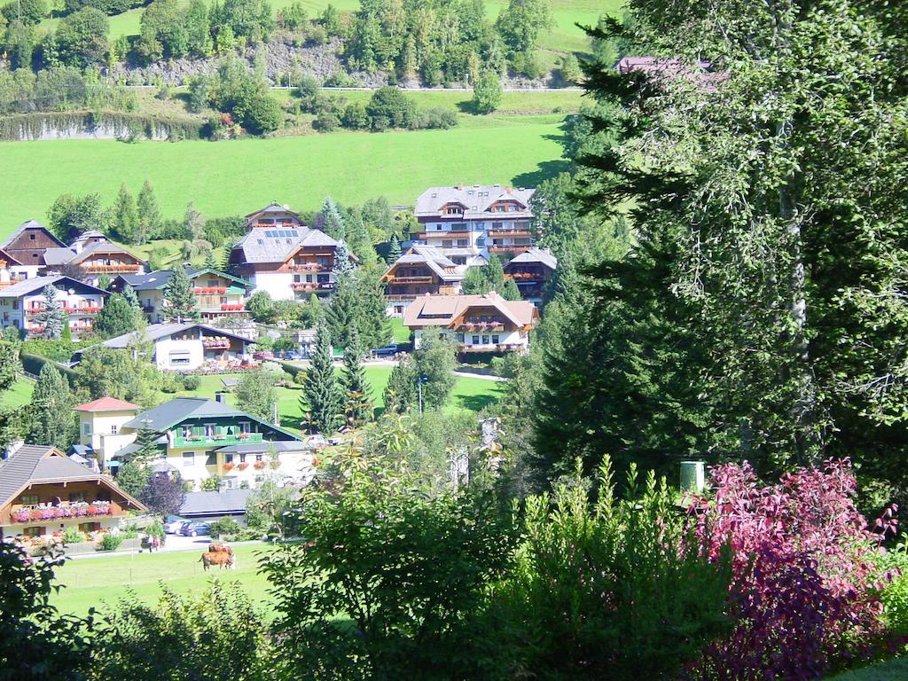 Haralds Ferienwohnungen Bad Kleinkirchheim Rum bild